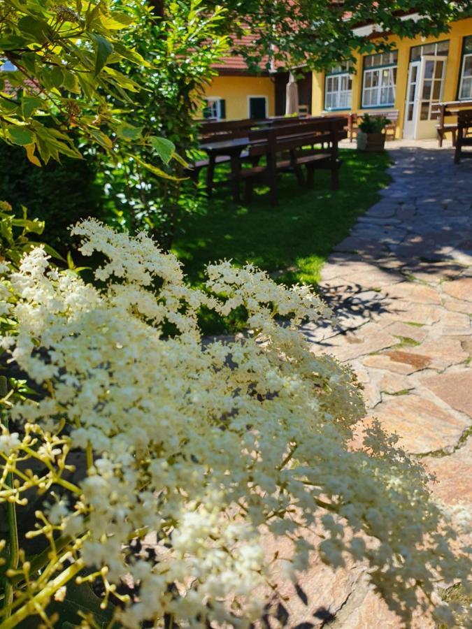 Landhof Steinbaeck Hotel Sankt Stefan ob Stainz Ngoại thất bức ảnh