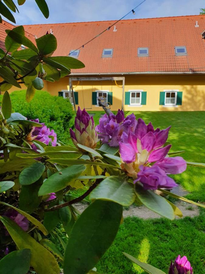 Landhof Steinbaeck Hotel Sankt Stefan ob Stainz Ngoại thất bức ảnh